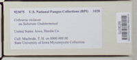 Image Associated With the Occurence